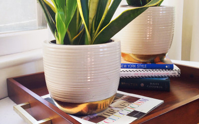 GILDED PLANT POT TUTORIAL