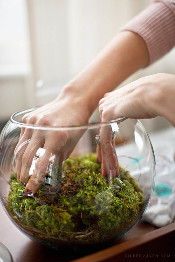 Instead of sending boring flowers, send a TERRARIUM! Ames & Oates is the best gifting company EVER! They have super chic gifts for girls AND guys. You HAVE to check them out! 