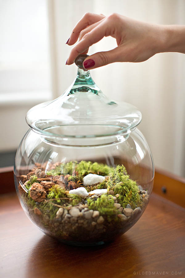 Instead of sending boring flowers, send a TERRARIUM! Ames & Oates is the best gifting company EVER! They have super chic gifts for girls AND guys. You HAVE to check them out! 