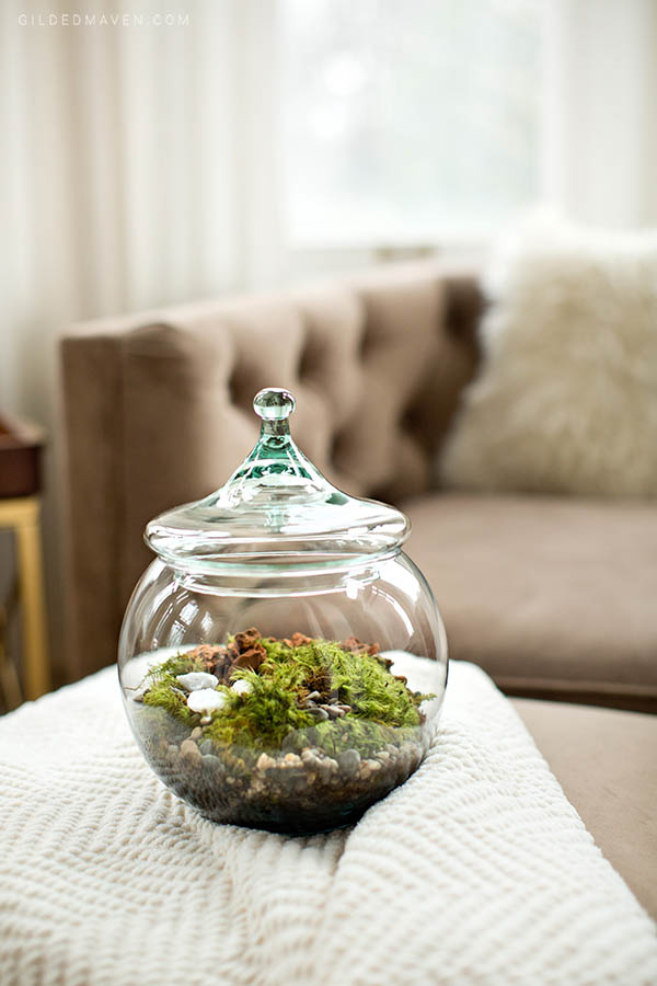 Instead of sending boring flowers, send a TERRARIUM! Ames & Oates is the best gifting company EVER! They have super chic gifts for girls AND guys. You HAVE to check them out! 