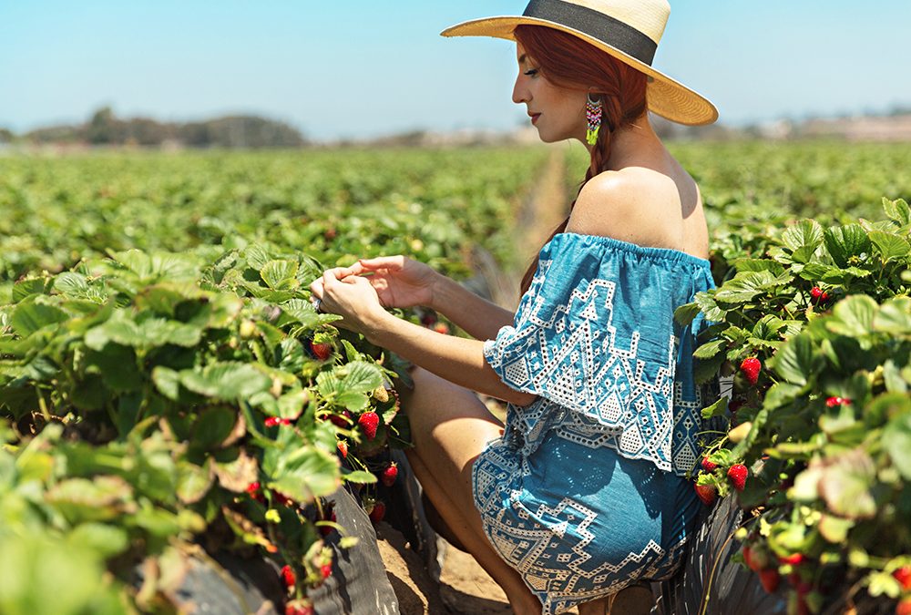 STRAWBERRY FIELDS